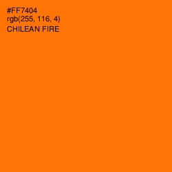 #FF7404 - Chilean Fire Color Image